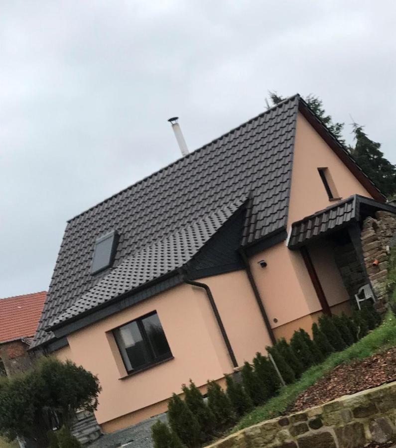 Ferienhaus Unstrutblick Kaiserpfalz Exteriör bild